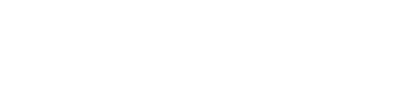 Zaldi official logo